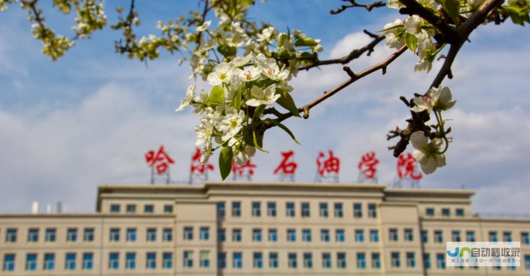 哈尔滨专业网页制作服务